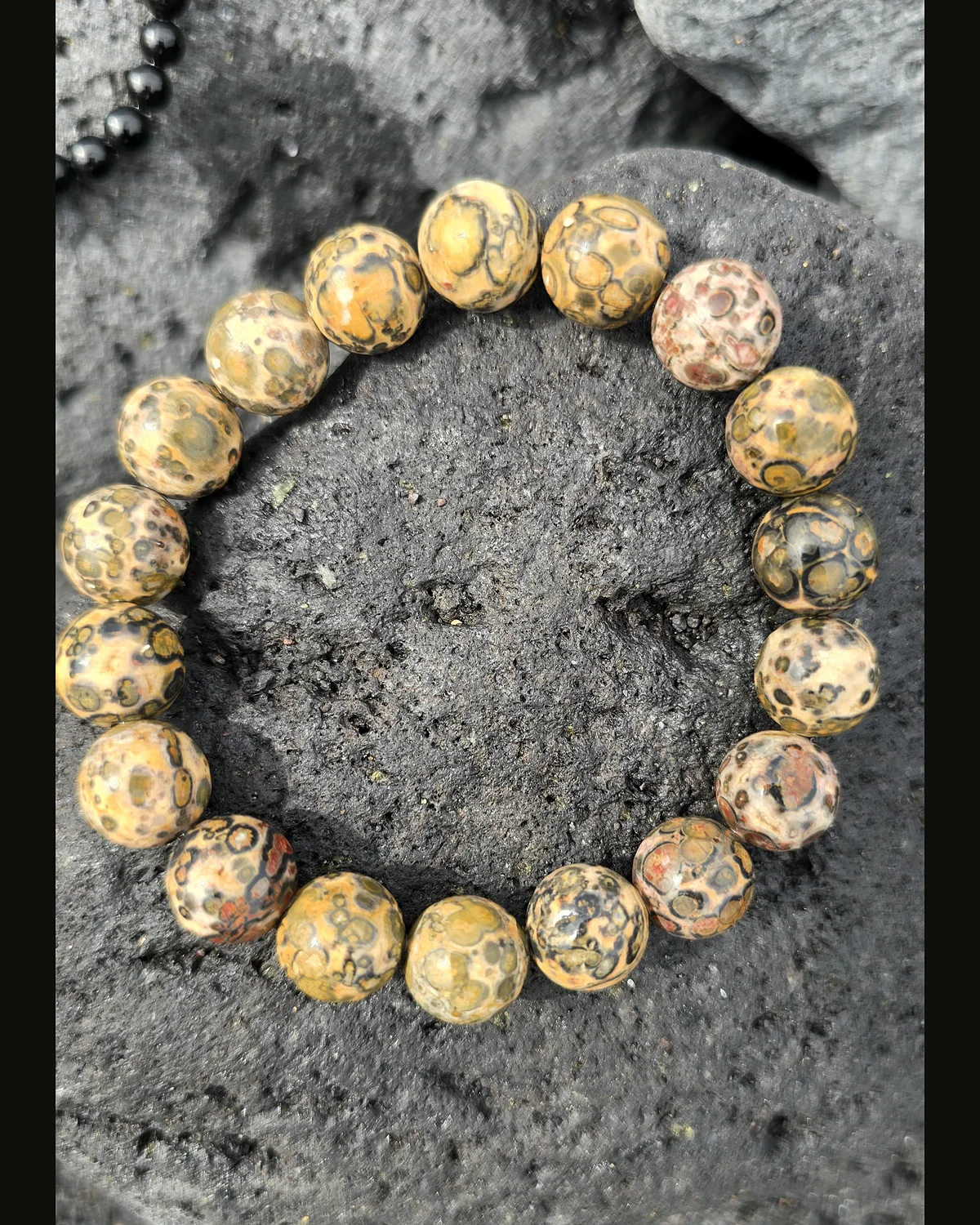Volcanic Root · Piece photograph